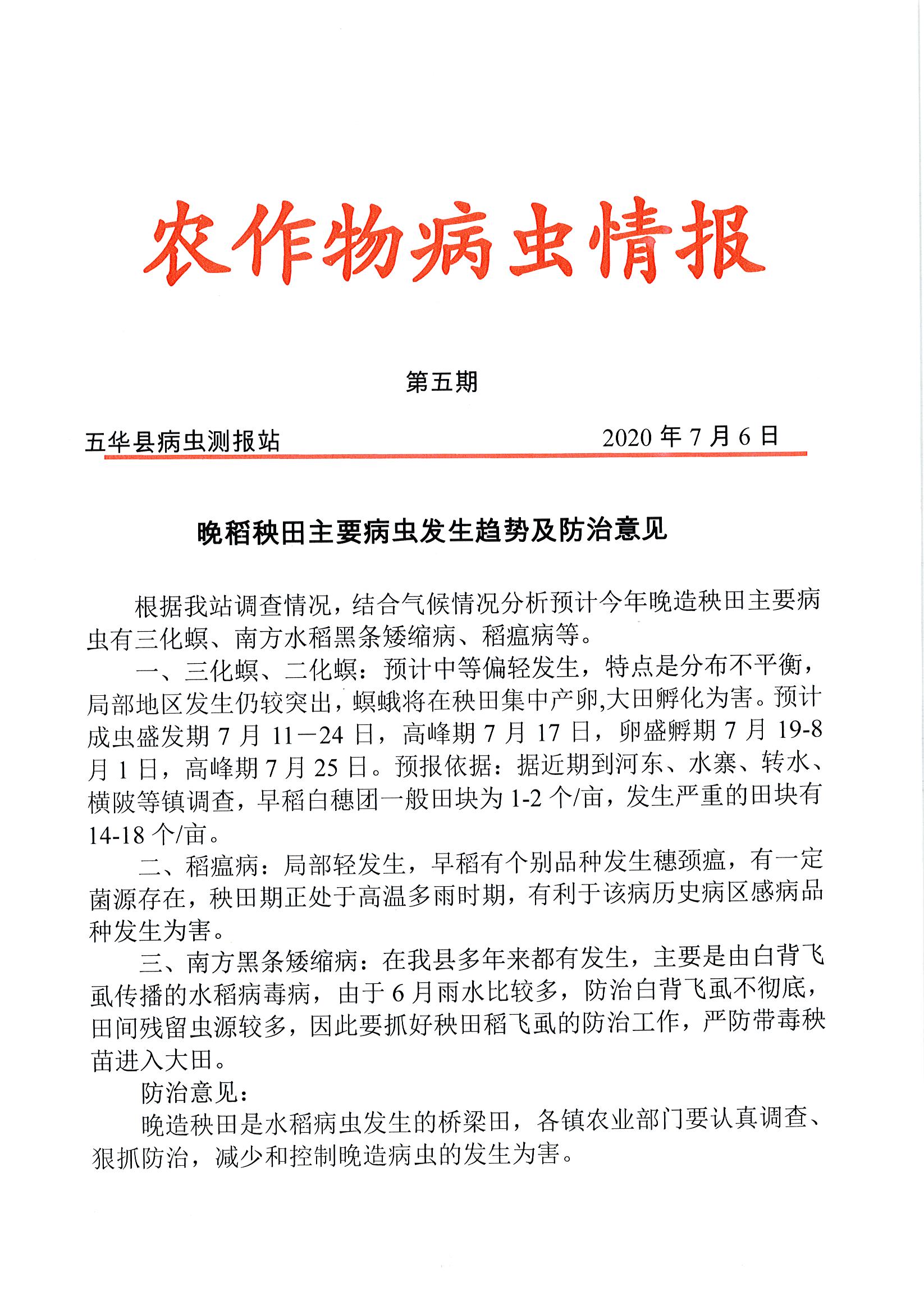 最新疫病信息下的自然探索之旅，内心平和与宁静的追寻