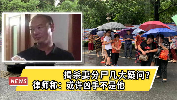 最新杀妻案件深度解析与观点阐述