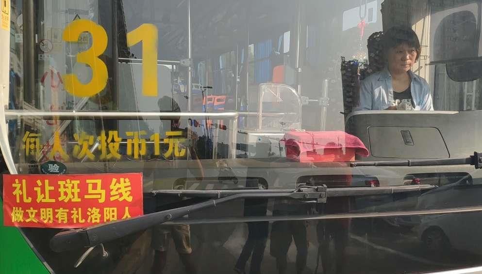 洛阳司机招聘最新信息及小巷深处的独特机遇
