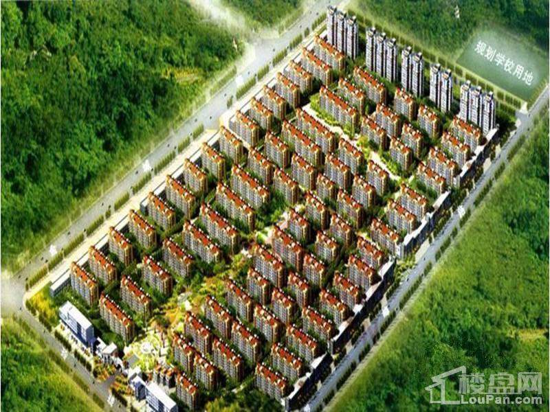 莱阳龙鑫佳苑最新动态，蜕变家园，励志故事引领未来