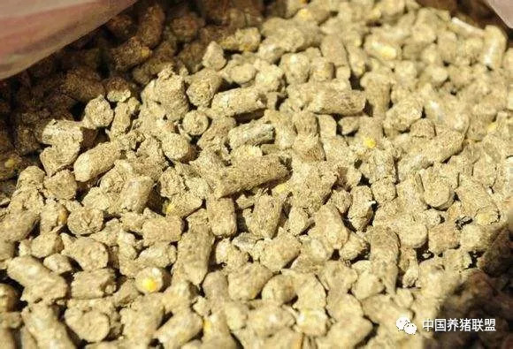 山东省花生粕最新价格动态，机遇与自我超越的旅程揭秘